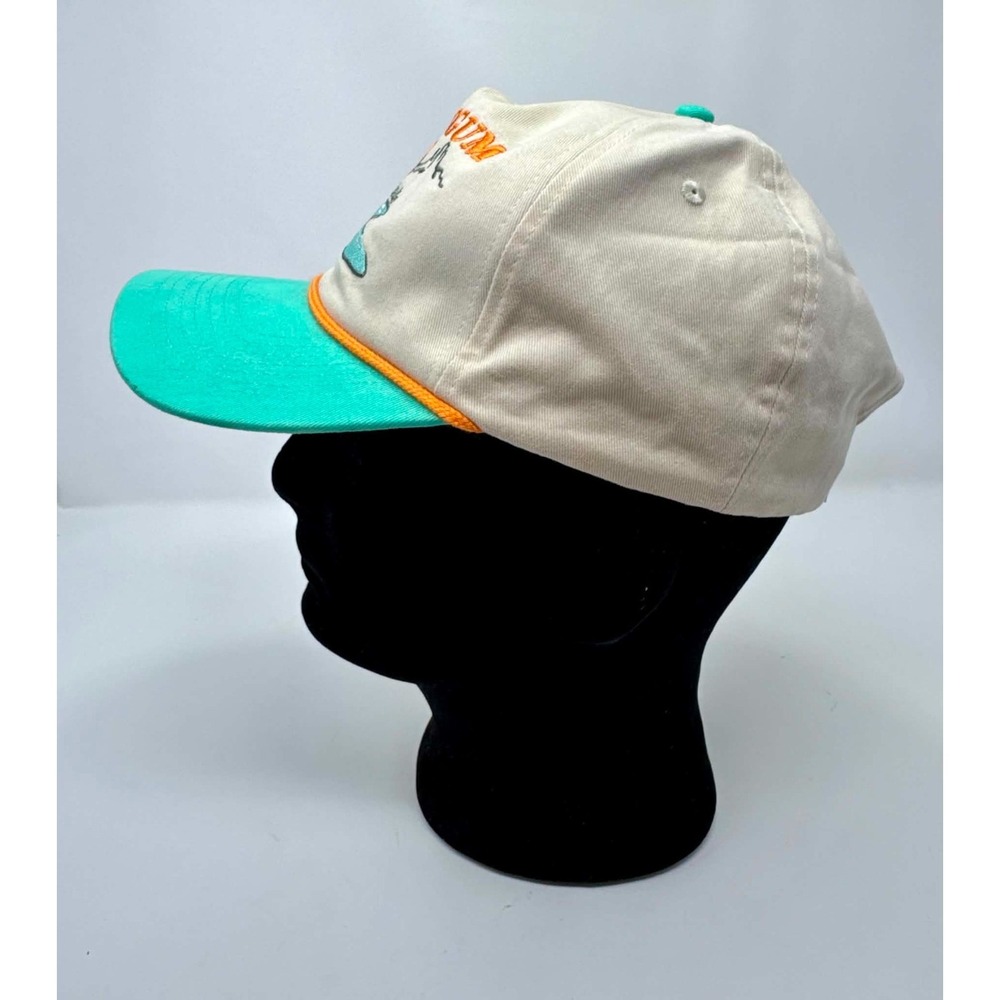 Sendero Provisions Co Thats A Daggum Mirage Snapback Hat Desert Pool Cap OSFA View 5